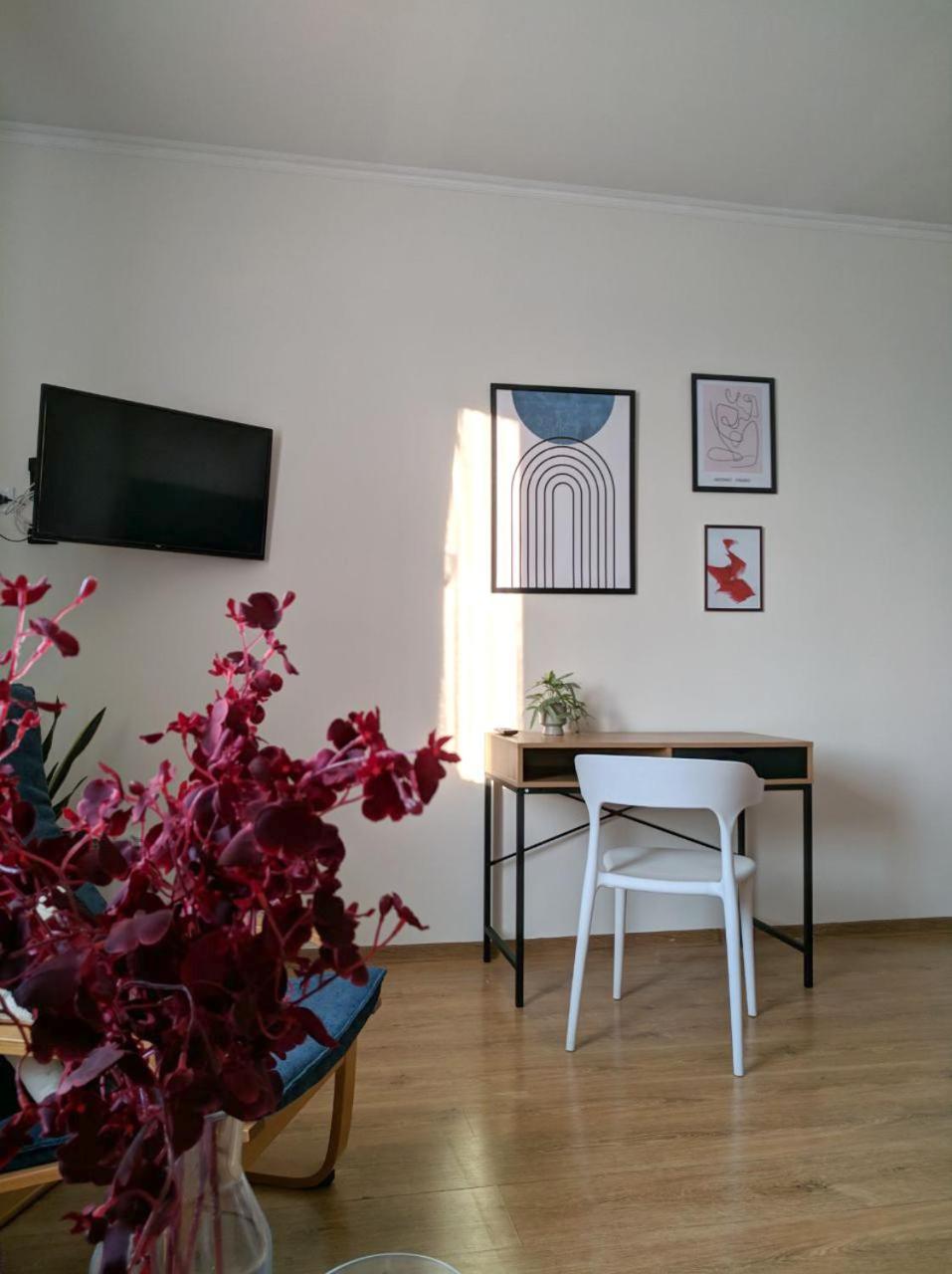 Best Apartment In The Center 무카체베 외부 사진